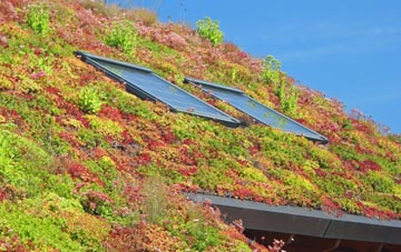 Curr living roof systems