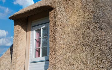 Curr thatch roof disadvantages
