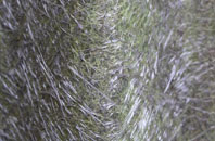 Curr fibreglass roof work